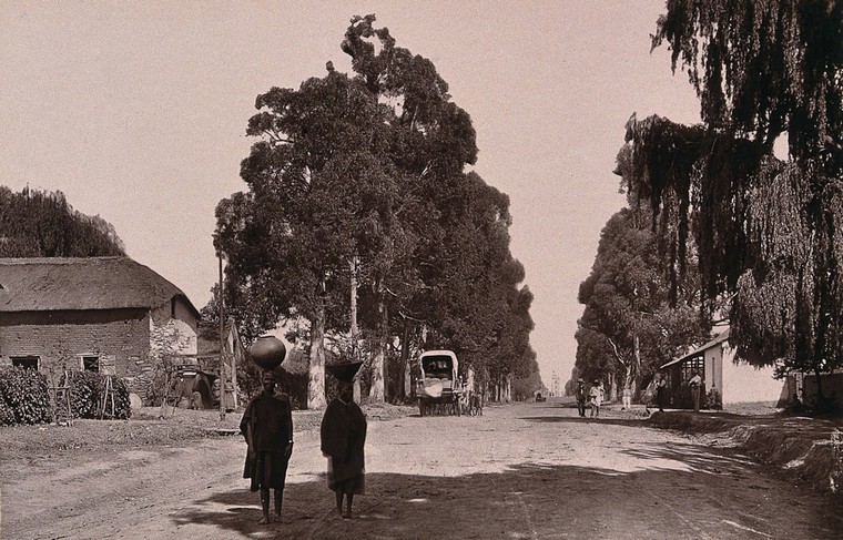 pta 1888